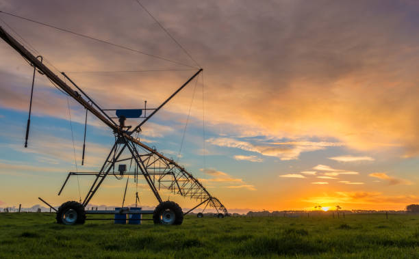 istock Irrigation Farming New Zealand Susnet 806074990