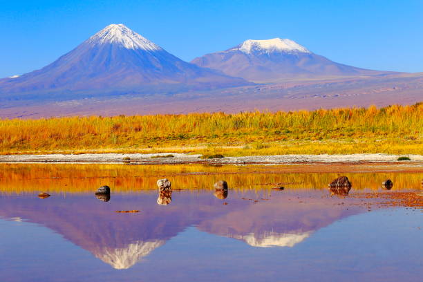 istock Laguna Cejar – dramatic Cejar lake mirrored reflection, Licancabur and Miniques snowcapped volcanoes - Idyllic Atacama Desert, Volcanic landscape panorama – San Pedro de Atacama, Chile, Bolívia and Argentina border 806085882