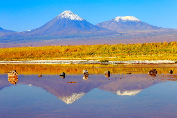 istock Laguna Cejar – dramatic Cejar lake mirrored reflection, Licancabur and Miniques snowcapped volcanoes and Idyllic Atacama Desert, Volcanic landscape panorama – San Pedro de Atacama, Chile, Bolívia and Argentina border 806086042