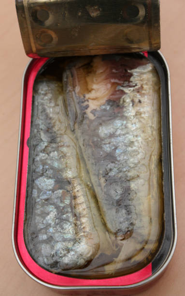 istock Canned sardines in oil 806096896