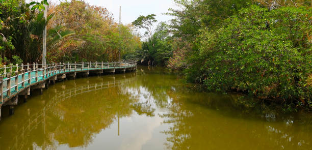 istock The river and pathway in the ancient district of Thailand 806097194