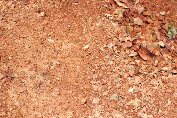 istock brown gravel stone background 806116884