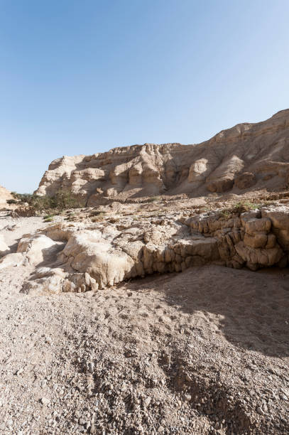 istock Stone desert in Israel 806122128