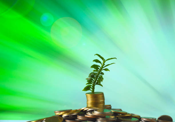 istock Stack of coins with small plant growing out of it 806127074