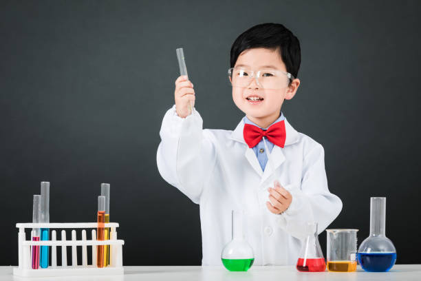 little scientist - preschooler plant preschool classroom imagens e fotografias de stock