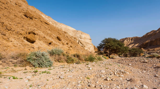 istock Stone desert in Israel 806134288