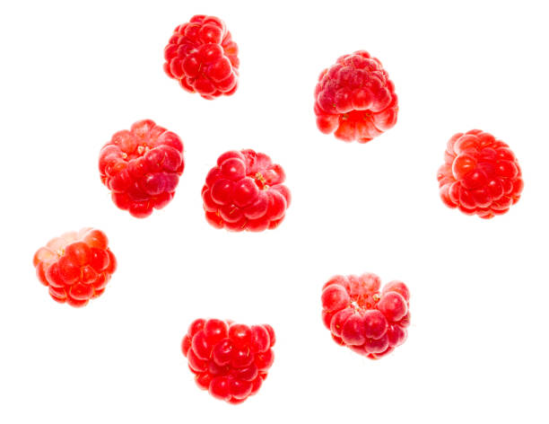 istock Juicy red raspberries on white background 806134378