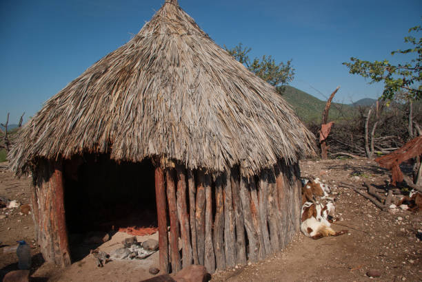 istock Traditional Himba village, Namibia 806137134