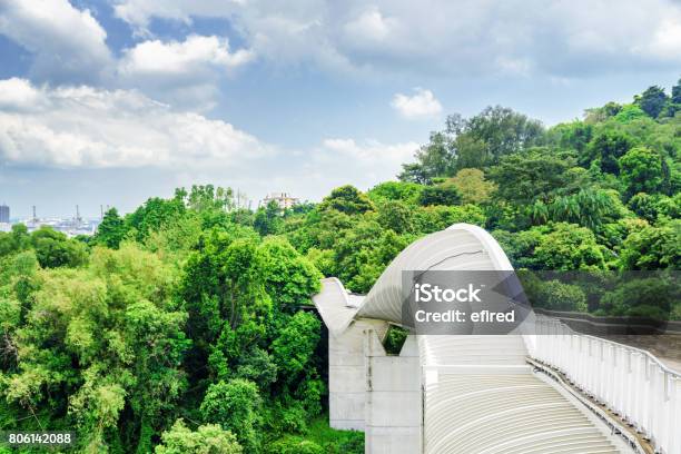 Amazing View Of Bridge Imitating A Wave Singapore Stock Photo - Download Image Now - Hill, Arch - Architectural Feature, Architecture