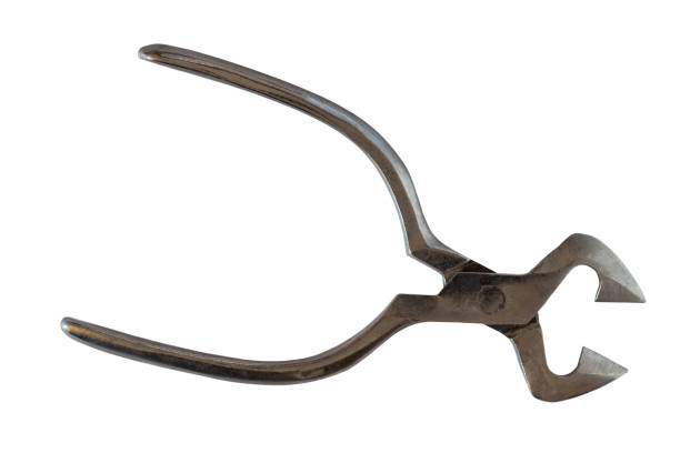 istock Tongs of refined sugar. 806144768