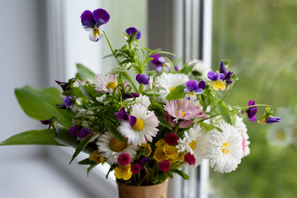 istock Summer bouquet. Garden and wild flowers. 806149692