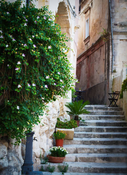 istock Ragusa Ibla, Sicily: Old Staircase with Caper Bush in Flower 806160048