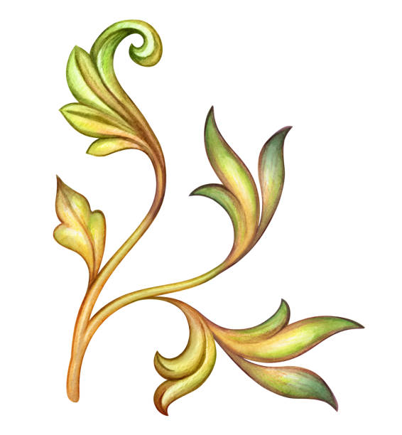 ilustrações, clipart, desenhos animados e ícones de ilustração de aquarela, folhas verdes, elemento de projeto antigo, medieval ornamento floral, vintage padrão, clip-art isolado no fundo branco - old clover scroll scroll shape