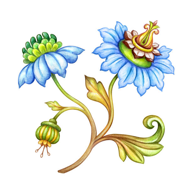 ilustrações, clipart, desenhos animados e ícones de ilustração de aquarela, flores azuis, folhas verdes, elemento de projeto antigo, medieval ornamento floral, vintage padrão, clip-art isolado no fundo branco - old clover scroll scroll shape