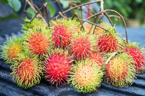 istock Fresh red rambutan sweet delicious fruit. Plum-sized tropical fruit with soft spines and a slightly acidic taste, cultivated in many countries in the region. 806170558