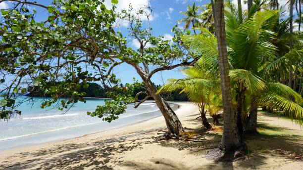 istock dominican republic 806173262