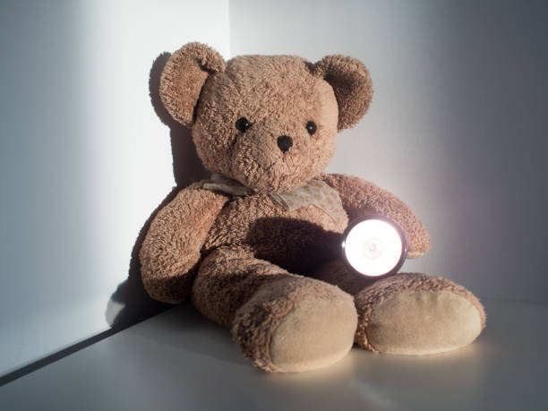 istock Cute bear holding flashlight sitting alone on wood floor at corner room. (selective focus) 806191362