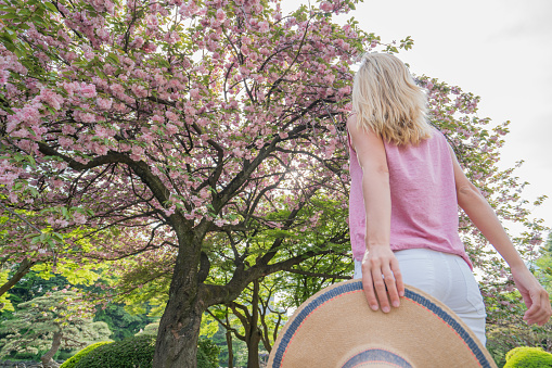 Low angle view of a young woman looking up at cherry blossom tree, female traveling in Japan visiting a Japanese garden in Tokyo in Springtime.