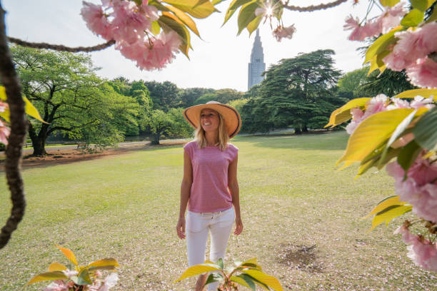 Free Stock Photo of Woman Standing in Front of Tree With Pink Flowers ...