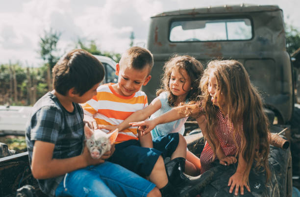 istock Children petting a piglet 806217680
