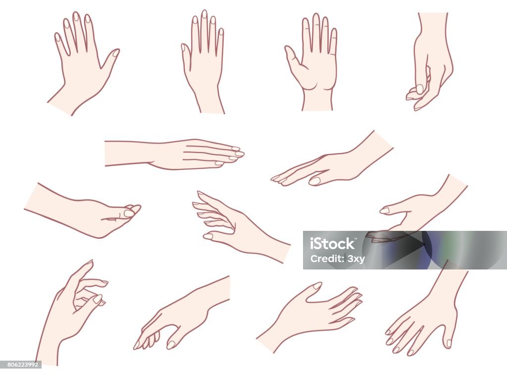 Vector Hand Collection Hand Collection Stock Illustration - Download Image Now - Hand Sign ...