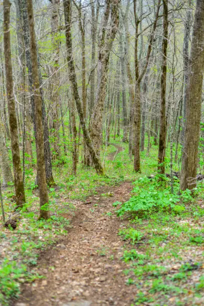 Photo of Hiking path zig zagging