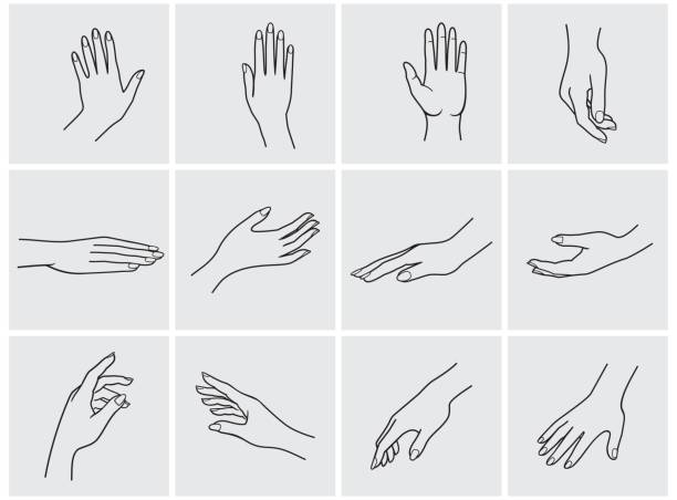 hands icon set Hand collection - vector line illustration hand drawing stock illustrations