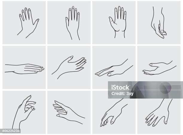 Hands Icon Set Stock Illustration - Download Image Now - Hand, Vector, Women