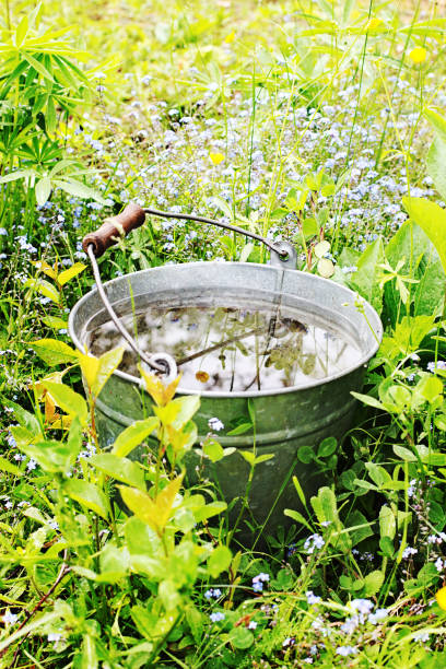 istock Bucket with rainwater in the grass 806236472