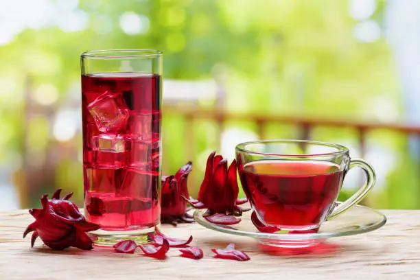 Cup of hot hibiscus tea (karkade, red sorrel, Agua de flor de Jamaica) and the same cold drink with ice cubes in glass on table at terrace. Drink made from magenta calyces (sepals) of roselle flowers.