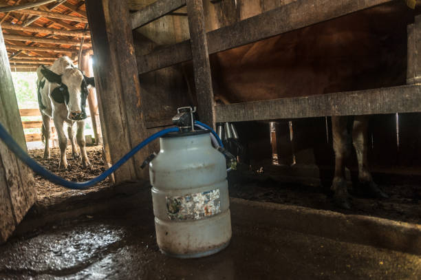 View of a milk churn at fresh green field against sunlight