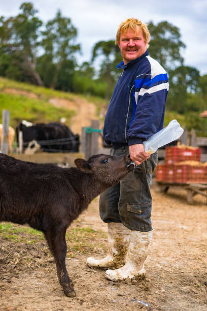 istock Country Life - Farm Worker 806242314