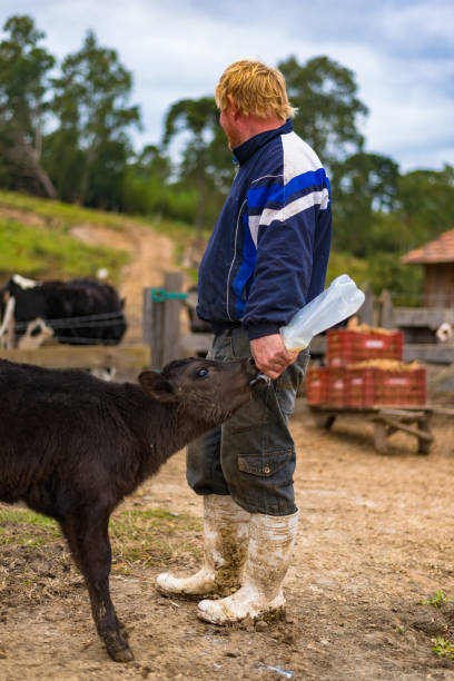 istock Country Life - Farm Worker 806244614