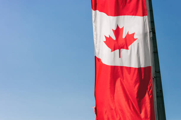istock Vertical narrow canadian flag against blue sky 806276154