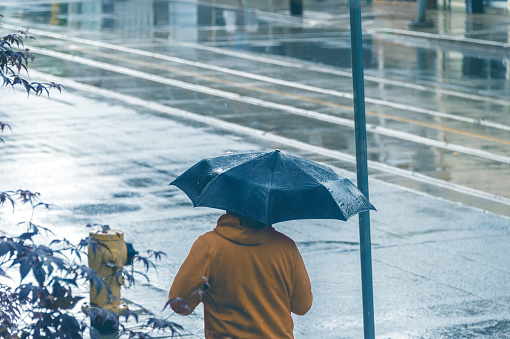 Rear view of a man walking in the rain and holding and umbrella