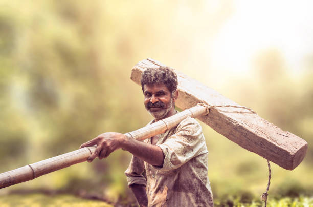 istock Happy Asian farmer  in a rice field. 806289682