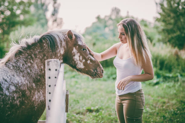 istock Dating with a horse 806289884