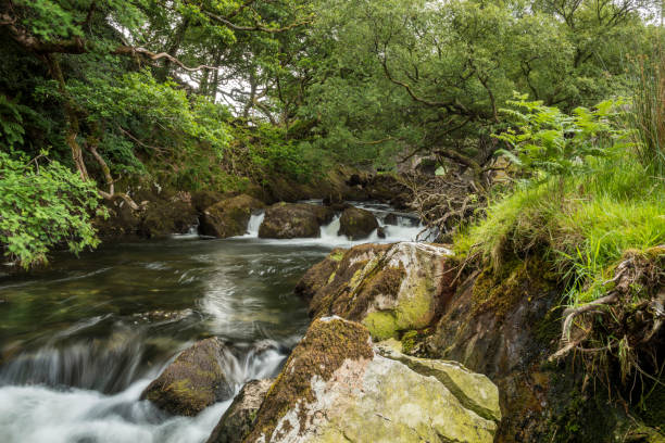 istock Great British Rivers and Waterfalls - Afon Ogwen 806290190