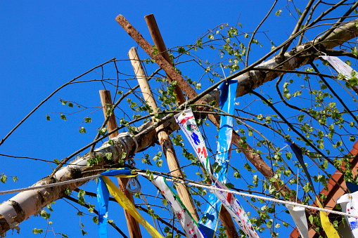Maypole Rope Setting Up A Maypole With Poles And Ropes Stock Photo - Download Image ...