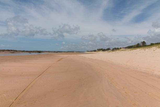 istock South coastline - Natal, RN, Brazil 806301366