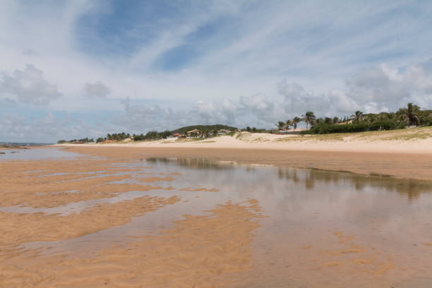 istock South coastline - Natal, RN, Brazil 806301664