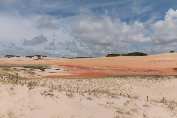 istock South coastline - Natal, RN, Brazil 806304032