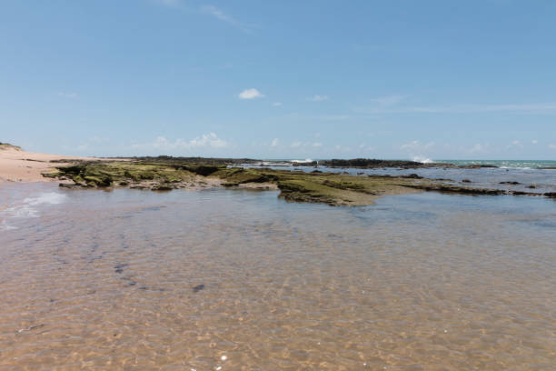istock South coastline - Natal, RN, Brazil 806304110