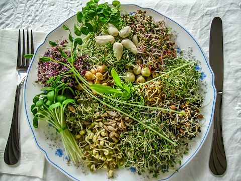 Healthy dinner plate full of different kinds of sprouts and nuts