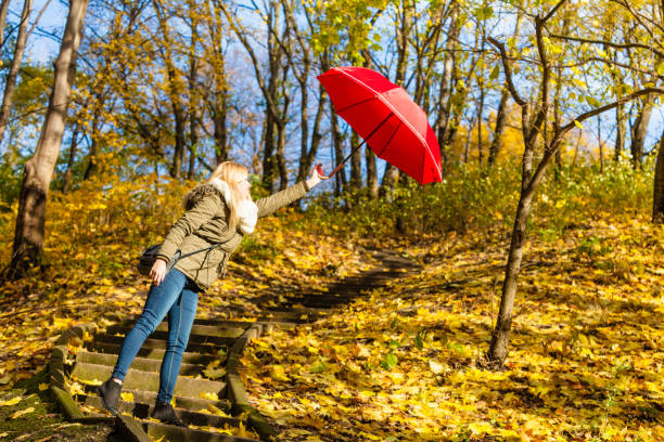 istock Woman walking in park with umbrella, strong wind 806304682