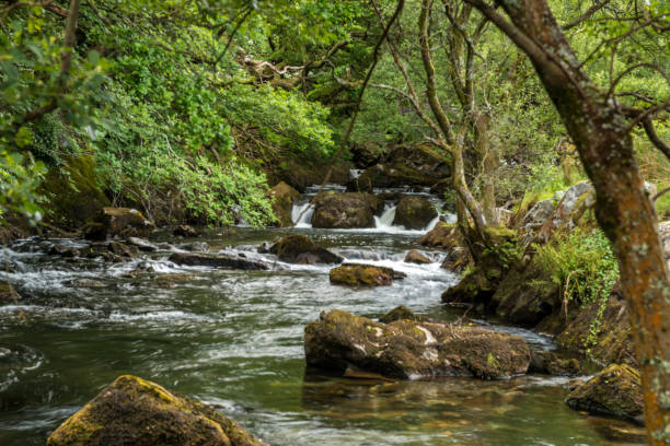 istock Great British Rivers and Waterfalls - Afon Ogwen 806315476