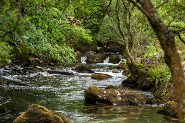 istock Great British Rivers and Waterfalls - Afon Ogwen 806318174
