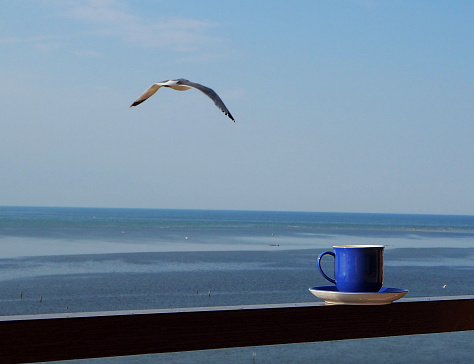 Blue coffee cup with horizon line over the sea and a seagull on the sky