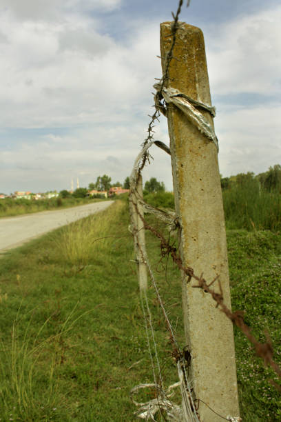 istock the Barbed fence 806331262