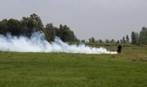 istock Thermal Fog application against to the pest 806331566